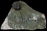 Sphalerite Flower On Marcasite and Quartz - Missouri #97679-1